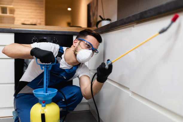Best Bed Bug Extermination  in Mount Holly Springs, PA